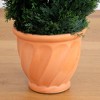 Nearly Natural 4.5-ft Double Pond Cypress Topiary Artificial Tree in Terracotta Planter UV Resistant (Indoor/Outdoor) - 4 of 4
