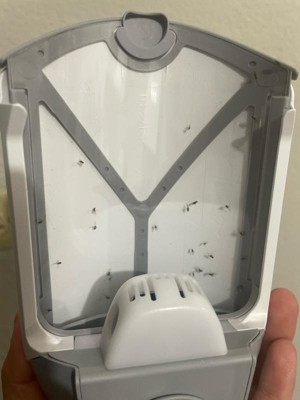 Guest review image 1 of 3, zoom in