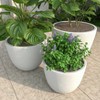 LeisureMod Dahlia Tapered Round Poly-Stone Planter Set with Drainage Holes, Weather-Resistant for Indoor/Outdoor Use – Set of 3 - 2 of 4
