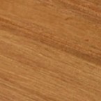 pecan