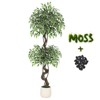 Artificial Ficus Tree Indoor with Planter, Realistic Faux Ficus Tree with White Pot, Fake Plants with Moss & Pebbles - 3 of 4