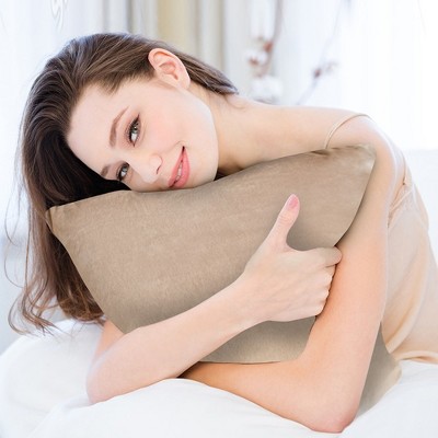Taupe Velour Decorative Throw Pillows with Inserts, Set of 2