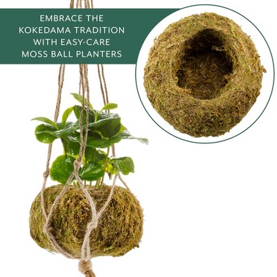 Set of 3 Green Moss Ball Hanging Planters with Jute Twine
