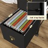 Acekool Mobile Filing Cabinet, Black Under Desk File Cabinet with Lockable Wheels, Metal Office Storage Organizer for Home Office, Workplace - 3 of 4