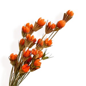 Alilang Decorative Dried Flower Stems for Home Decoration and Floral Arrangements, 15.5 Inches - 1 of 3