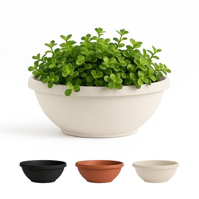 Bloem Terra 12" Diameter Resin Planter Bowl with Optional Knockout Drainage for Indoor and Outdoor Gardening