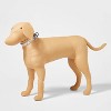 Striped Fashion Dog Collar with Pin Buckle - Boots & Barkley™ - 3 of 3