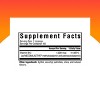 Seeking Health Methyl B12 1000 with Adeno B12 Bioavailable B12 in a great tasting lozenge - 60 Lozenge Dietary Supplement - 2 of 4