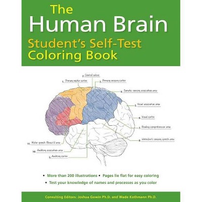 Human Brain Student's Self-Test Coloring Book - by  Joshua Gowin & Wade Kothmann (Paperback)