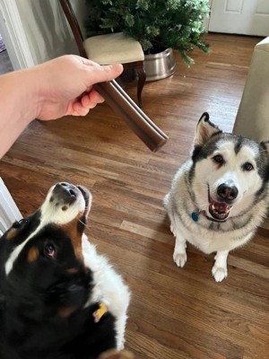 Guest review image 2 of 2, zoom in