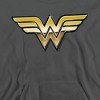 Boys’ JLA Golden Hooded Sweatshirt - 2 of 4