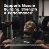 Optimum Nutrition, Micronized Creatine, 2500mg, 300 Capsules - 4 of 4