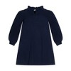 Hope & Henry Girls' Long Sleeve Ruffle Neck Sweater Dress, Toddler, 2T - 3 of 4