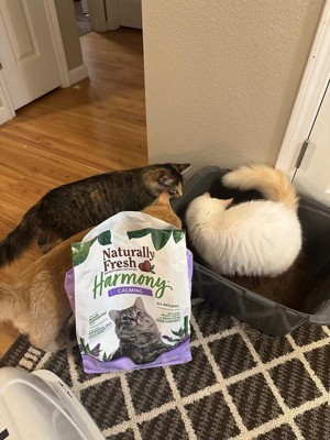 Guest review image 3 of 3, zoom in