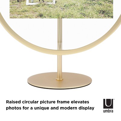 Matte Brass 4x6 Floating Tabletop and Wall Picture Frame