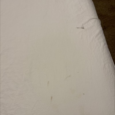 Guest review image 1 of 1, zoom in