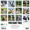 Willow Creek Press 2026 You Goat This Wall Calendar - 2 of 4