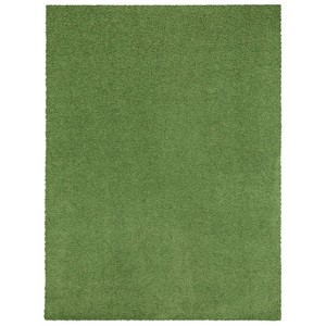 Traditional Solid Long Pile Indoor Area Rug, 5' x 7' - 1 of 4