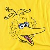 Toddler Boys' Sesame Street Big Bird Retro Sketch Face T-Shirt - 2 of 3