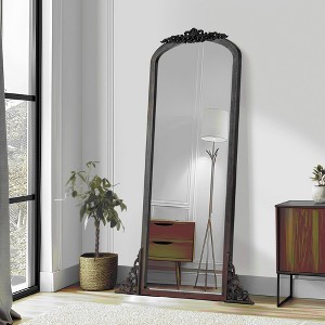 Lirago Arch Solid Wood Mirror Ornate Mirror Wall Mirror Retro Mirror with Carved Frame 64*21 Caramel - 1 of 4