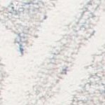blue/ivory