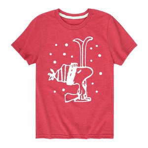 Boys' - Peanuts - Woodstock Snowfall Short Sleeve Graphic T-Shirt - 1 of 4