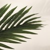 Gulches 6FT in Artificial Green Leaf Golden Cane Palm Tree in Black Plastic Pot 1pc Set Tropical Faux Plant for Indoor Outdoor Decor - 3 of 4