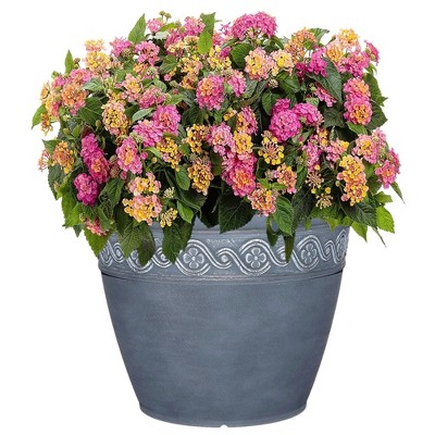 Storm Blue 13" Resin Indoor/Outdoor Flower Pot Planter