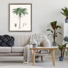 Stupell Industries Vintage Palm Tree Study Floating Frame Canvas Art - 3 of 4