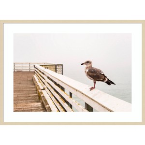 41" x 30" Sea gull on wharf by Alison Jones Danita Delimont Wood Framed Wall Art Print - Amanti Art: Modern Decor, Horizontal Lithograph - 1 of 4