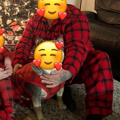 Guest review image 1 of 1, zoom in