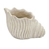 Chery Life Sand and Cement Conch Shell Planter with Textured Beige Finish - 3 of 4