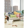 carol & frank Hodges Large Woven Throw Pillow With Insert - 3 of 4