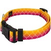 Country Brook Petz Deluxe Collar and Leash - Abstract Collection - 2 of 4