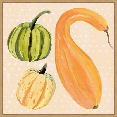 22" x 22" Decorative Gourd I by Annie Warren Framed Wall Canvas - Amanti Art