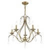 Livex Lighting Caterina 5 - Light Chandelier in  Antique Brass - 3 of 3