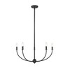 Z-Lite Shannon 5 - Light Chandelier in  Matte Black - 4 of 4