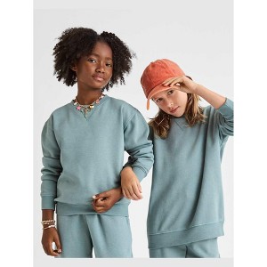 The Children's Place Boys Active Long Sleeve Garment Dyed Premium Fleece Sweatshirt - 1 of 4