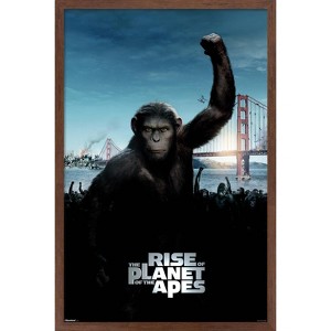 Trends International Rise of the Planet of the Apes (2011) - One Sheet Framed Wall Poster Prints - 1 of 4