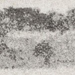 ivory/charcoal