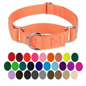 Country Brook Petz Martingale Heavyduty Training Collar with No Buckle - Service Collar for All Dogs - Vibrant, Colorful Collection - 1 of 4