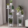 Metal Plant Stand, Multi-Layer Tall Plant Shelf for Indoor Plants, Corner Plant Display Rack with Anti-Slip Feet for Living Room, Balcony - 2 of 4