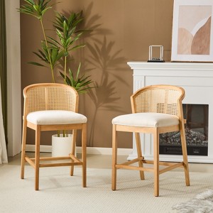 Christopher Knight Home Mansoor Rattan and Rubberwood Upholstered Counter Stools (Set of 2) - 1 of 4