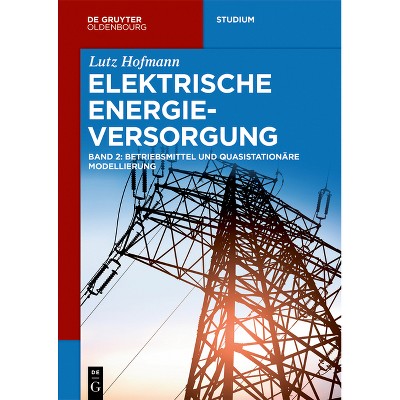 Betriebsmittel und quasistationäre Modellierung - (De Gruyter Studium) by  Lutz Hofmann (Paperback)
