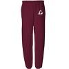 University of Wisconsin - La Crosse Officially Licensed Apparel - Primary Logo Team Color Jogger Sweatpants - 2 of 4