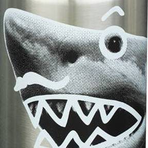 Mr.Shark