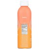 Path Water Grapefruit Mango Sparkling Water - Case of 12/20.3 oz - 4 of 4