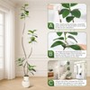 Garvee 5/6/7FT Artificial Plants Rubber Tree with Resin Pot & Stone Faux Fiddle Leaf Fig Tree Indoor Artificial Trees Tall Plant Fake Tree - 3 of 4