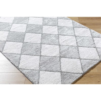 Hauteloom Aideen Gray Shag Area Rug