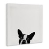 Stupell Industries Dog Peeking From Below, 17" x 17" - 3 of 4
